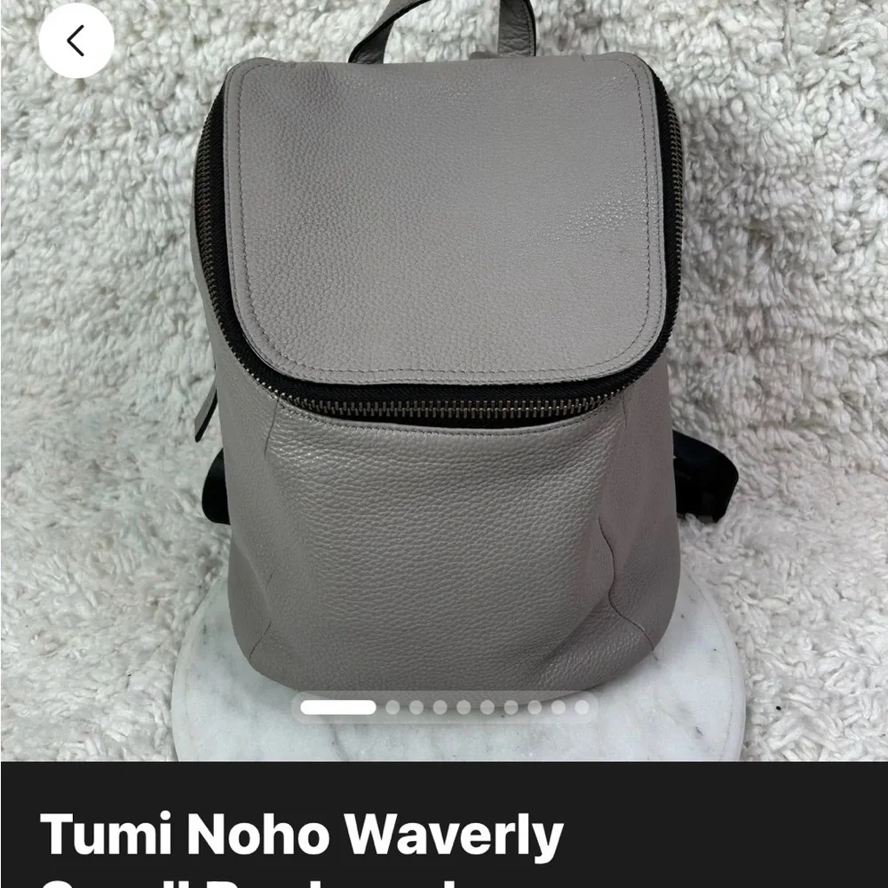 Tumi Light Gray Leather Laptop Backpack